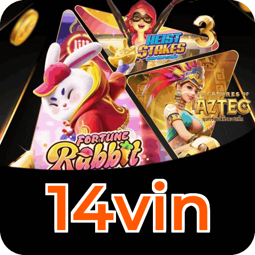 14vin Facebook Oficial